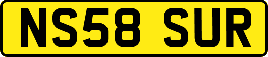 NS58SUR