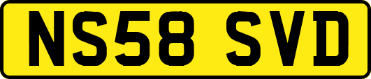 NS58SVD