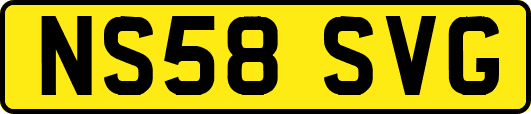 NS58SVG
