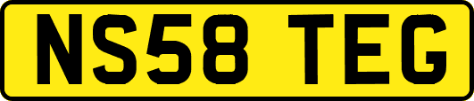 NS58TEG