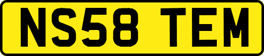 NS58TEM