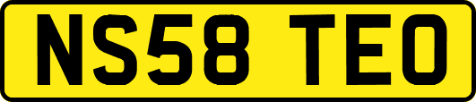 NS58TEO