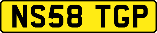 NS58TGP