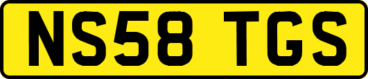 NS58TGS
