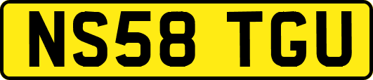 NS58TGU