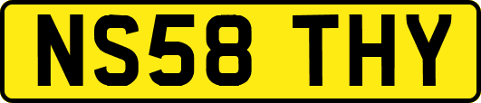 NS58THY