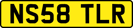 NS58TLR