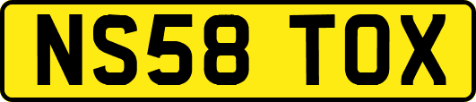 NS58TOX