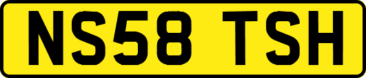 NS58TSH
