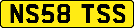 NS58TSS