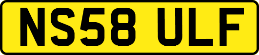NS58ULF