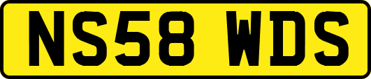 NS58WDS