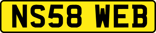 NS58WEB