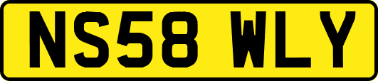 NS58WLY