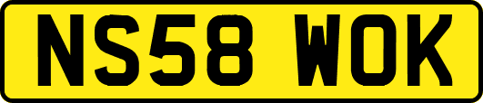 NS58WOK