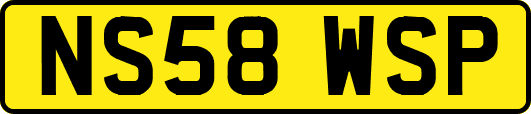 NS58WSP