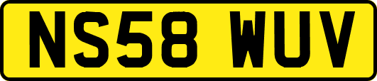 NS58WUV