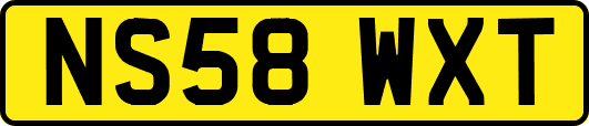 NS58WXT