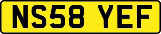 NS58YEF