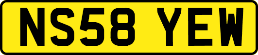 NS58YEW