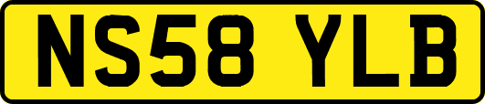 NS58YLB