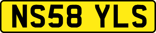 NS58YLS