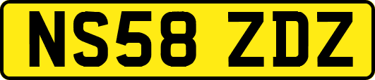 NS58ZDZ