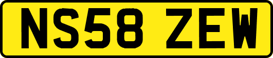 NS58ZEW