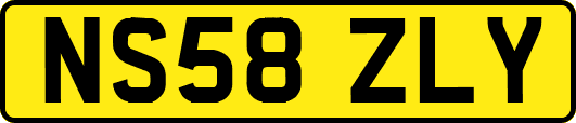 NS58ZLY