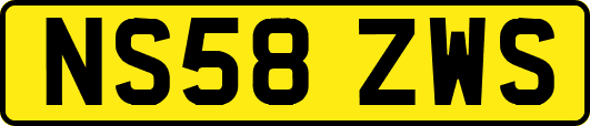 NS58ZWS