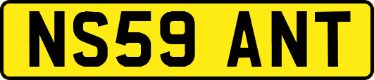 NS59ANT