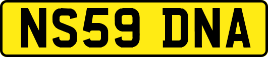 NS59DNA