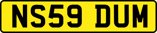 NS59DUM