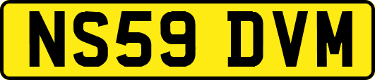 NS59DVM