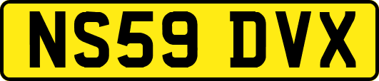 NS59DVX