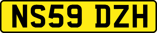 NS59DZH