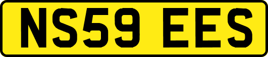 NS59EES
