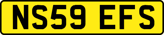 NS59EFS