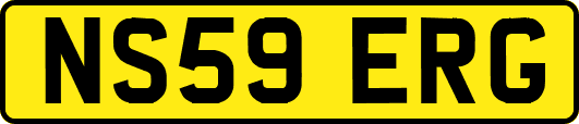 NS59ERG