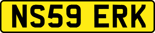 NS59ERK