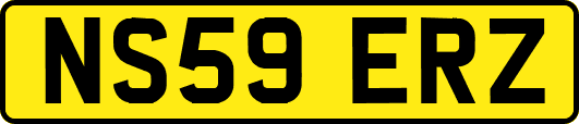 NS59ERZ