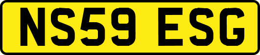 NS59ESG