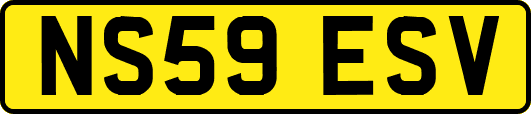 NS59ESV