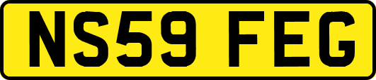 NS59FEG