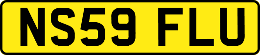 NS59FLU