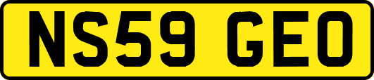 NS59GEO