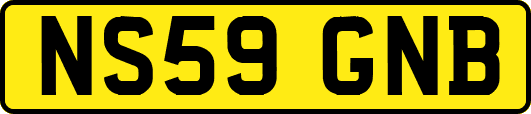 NS59GNB