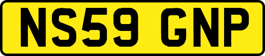 NS59GNP
