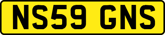 NS59GNS