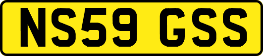 NS59GSS